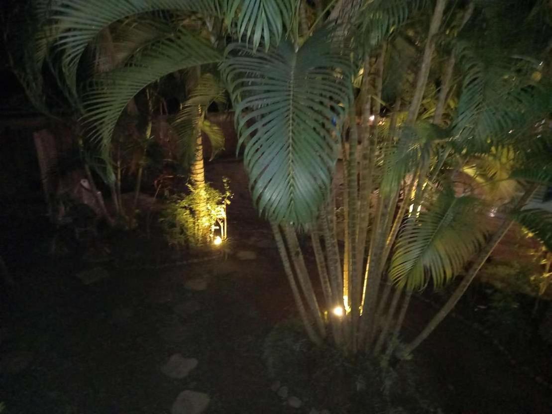 Oasis Palms Hotel 나디 외부 사진